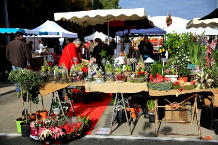 Le marché de Noël de Jacou photo