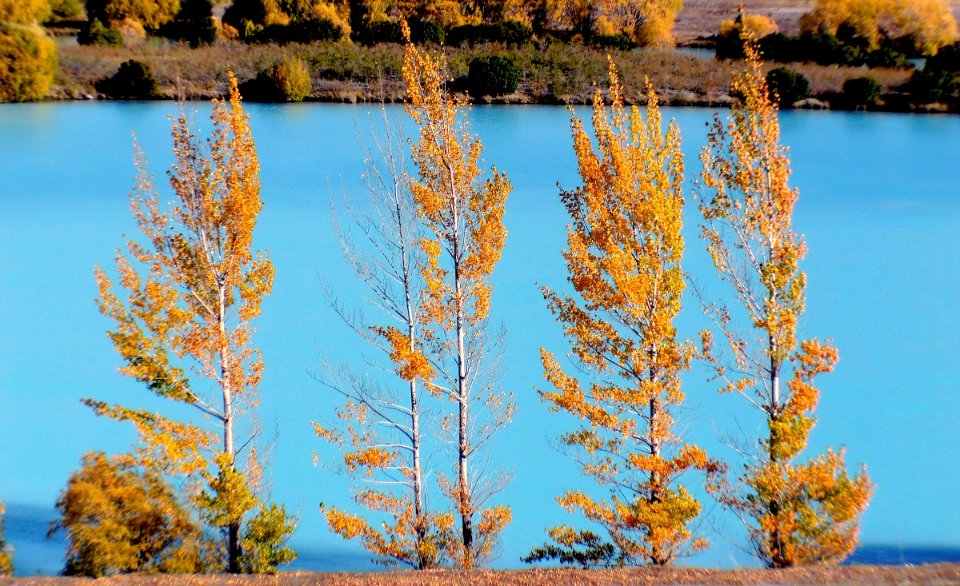 Lake Ruataniwha. Twizel NZ