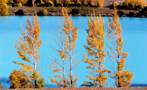 Lake Ruataniwha. Twizel NZ photo