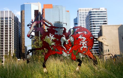 Do Re Me Fa Sol Si Do. Title for this set of Horses.Calgary.