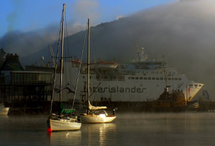 Morning Picton NZ