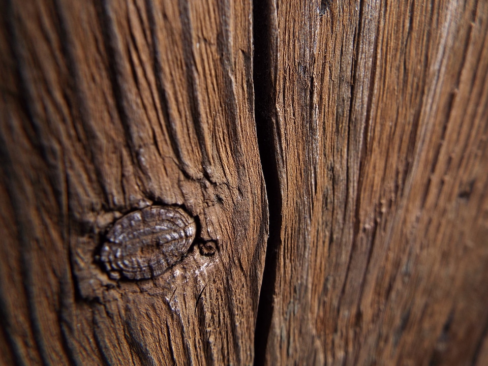 Structure wood brown