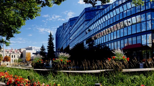 Calgary Municipal Building photo