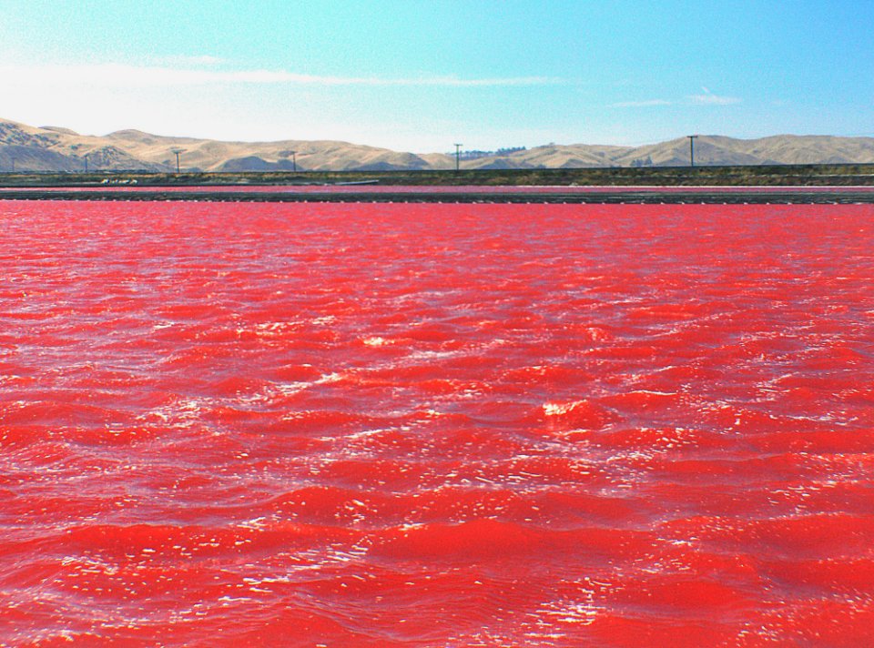 Solar Salt Ponds.