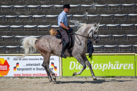 Rassenschau 20169759