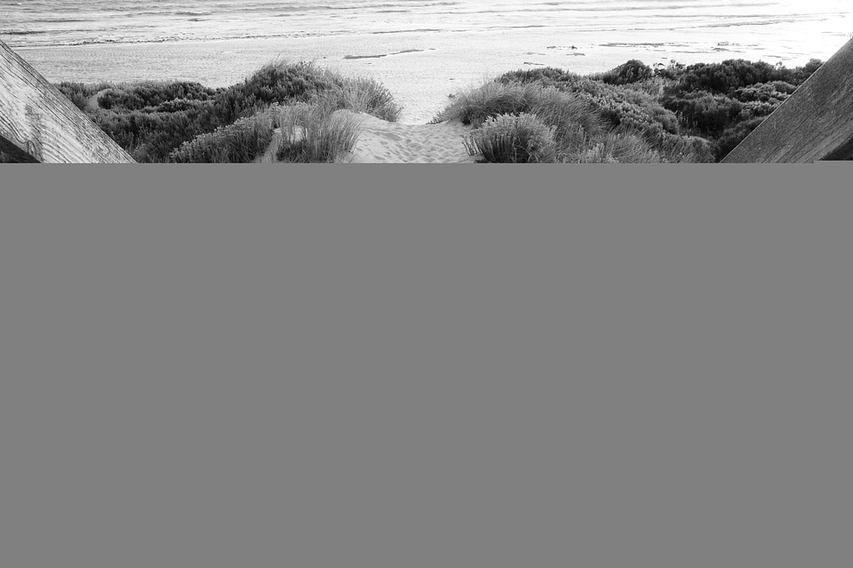 Coastline sand path