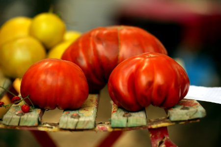 Festival de la Tomate photo