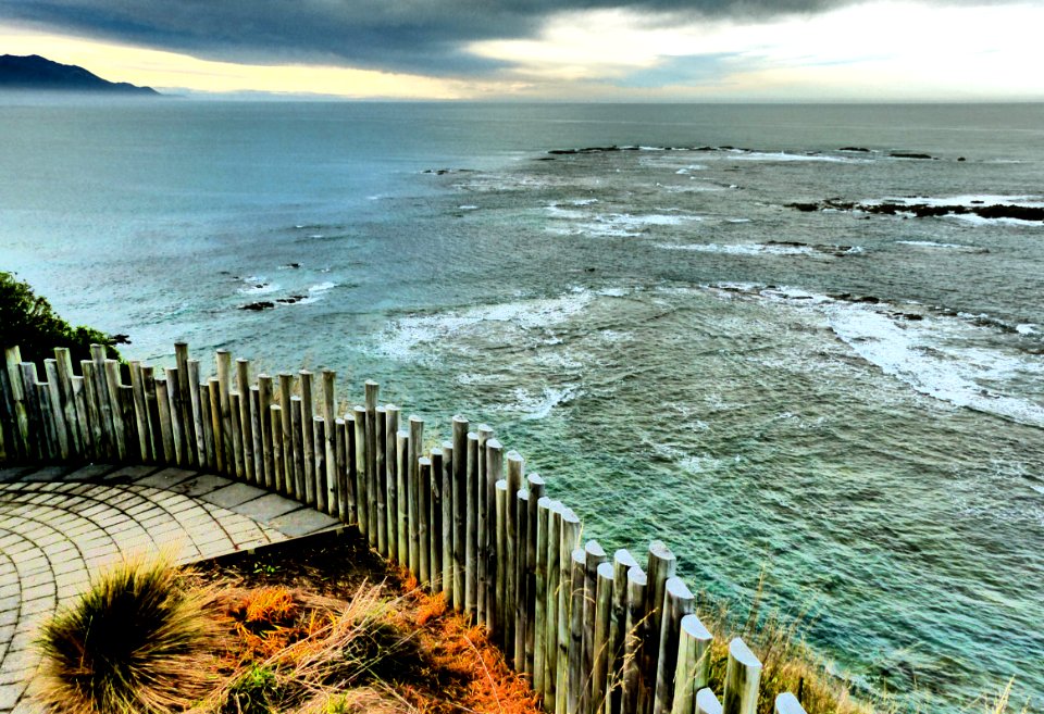 Viewing Platform Kaikoura Peninsular.