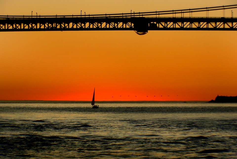 The Golden Gate Bridge. (11)