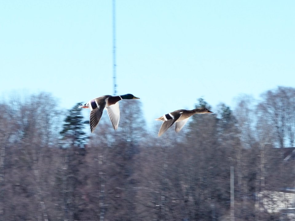 Änder över Filipstad