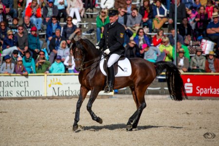 HP151381(c) Oliver-Seitz