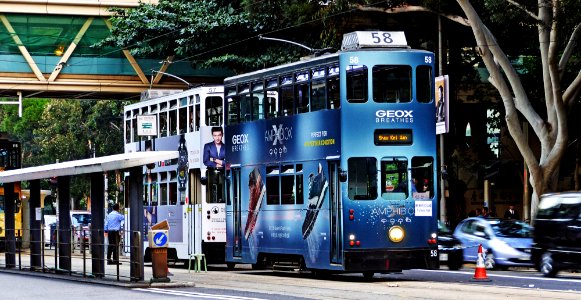 Hong Kong Trams. photo