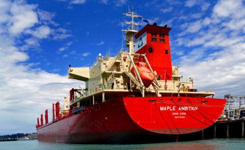 MAPLE AMBITION ( Bulk Carrier)