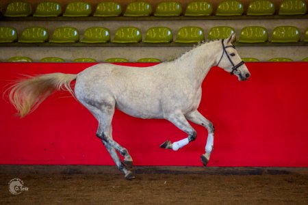 Isabeau 150917