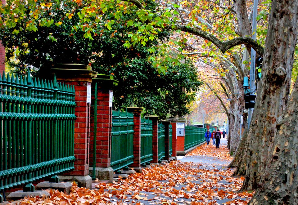 Adelaide. Autumn walk.