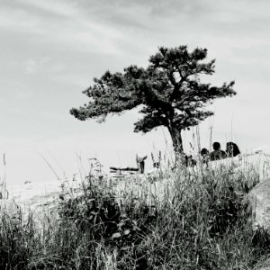 Bear Mountain