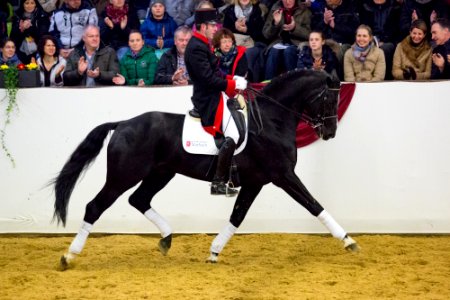Hochfein 20163074