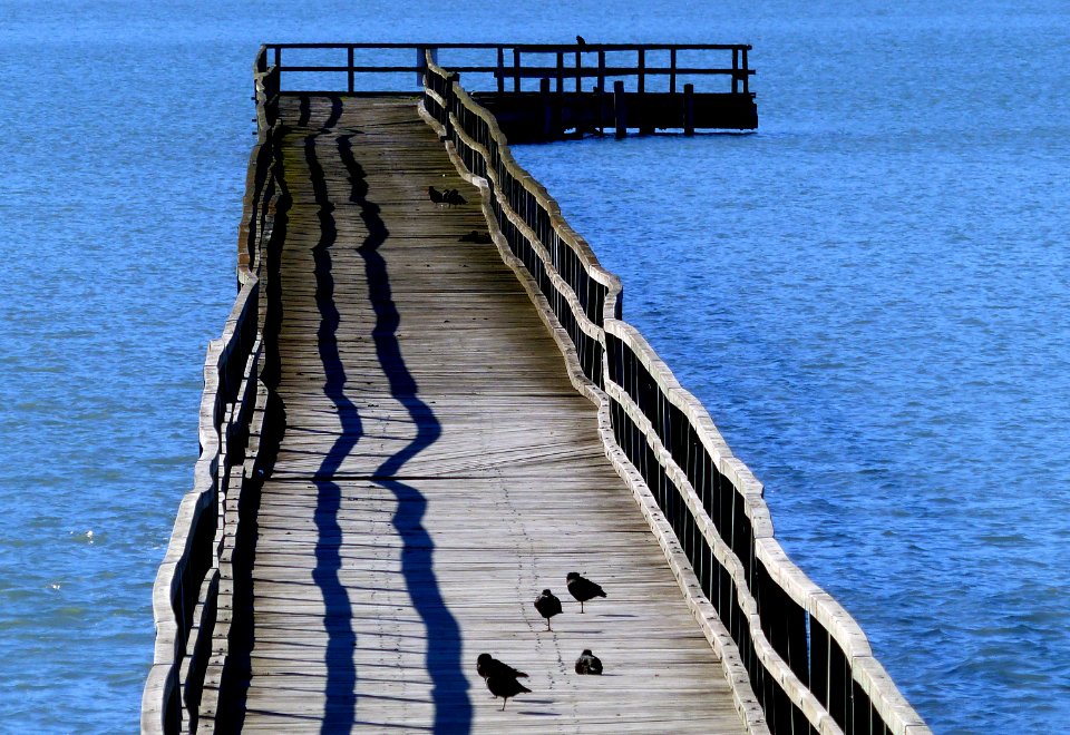 Governors Bay Jetty Lyttleton Harbour.NZ