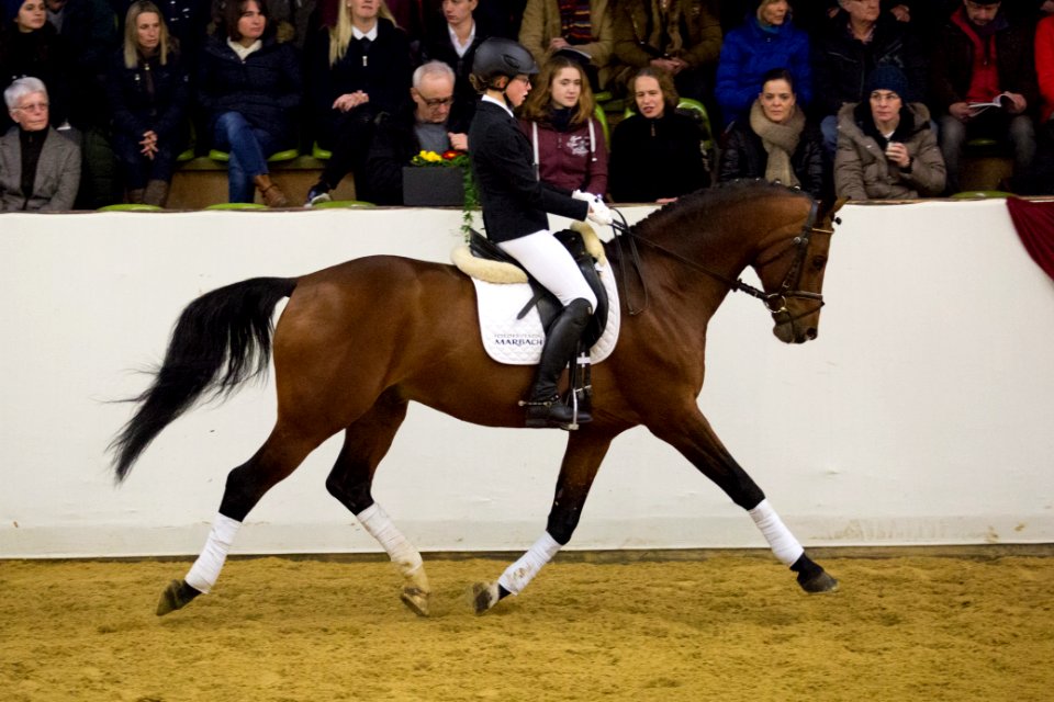Quadrofino 20161778