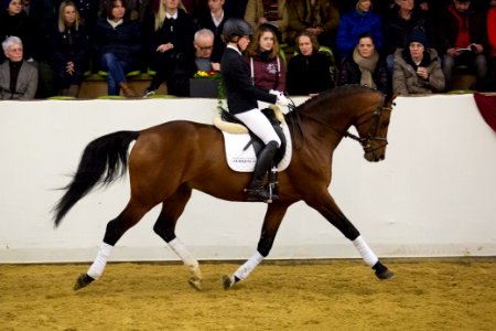 Quadrofino 20161778