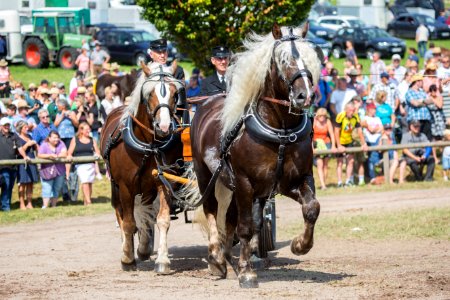 M 20166178Maitanz Wildbach