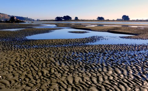 Sumner Beach Christchurch.FZ200 photo