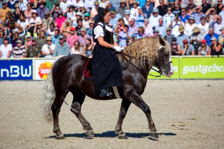 04Falkenstein20162340