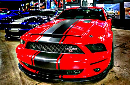 2008 FORD SHELBY GT500 SUPER SNAKE. photo