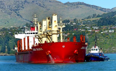SIGNE BULKER Bulk Carrier