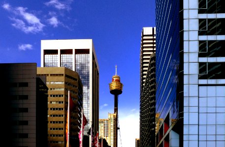 Sydney Tower. photo