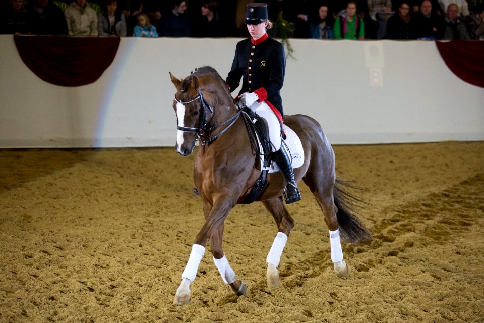 SirNymphenburg 20164116