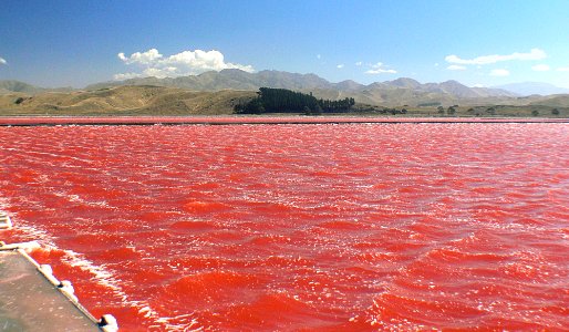 Solar salt.NZ photo