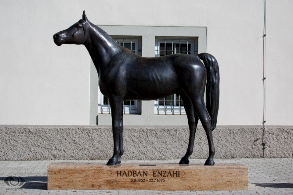 Hadban 20150015 (c) Oliver Seitz