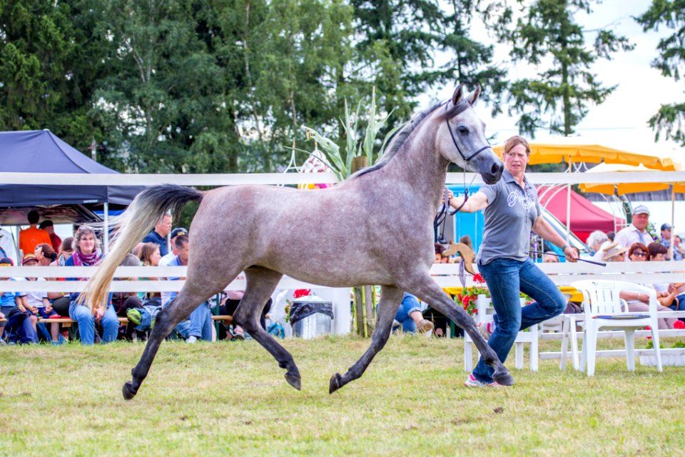WM Samoura 20160597 Oli Seitz
