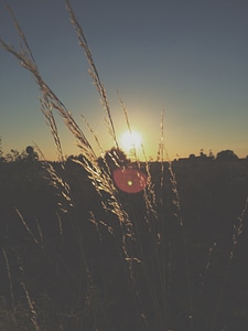 Nice sun at night