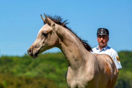WM Safura-Naoufil-Saabirah OS190305