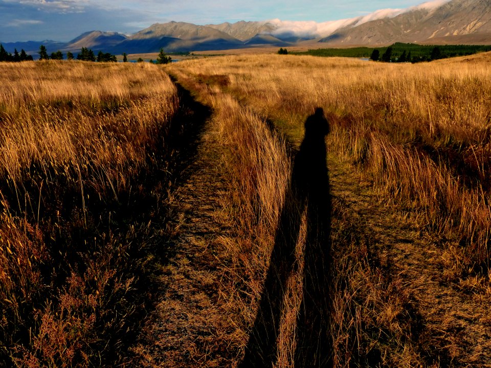 When evening shadows fall..