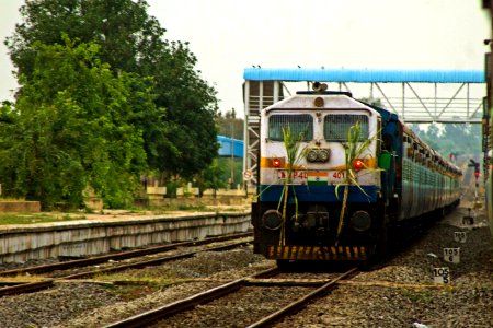 BIDR - MTM SF