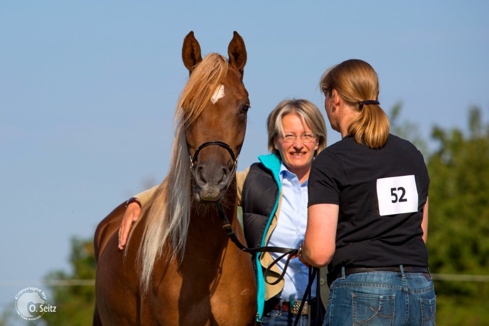 Mardschana-KAUB3967(c) Oliver Seitz