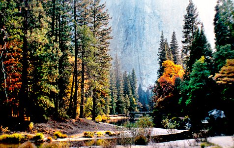 Yosemite National Park photo