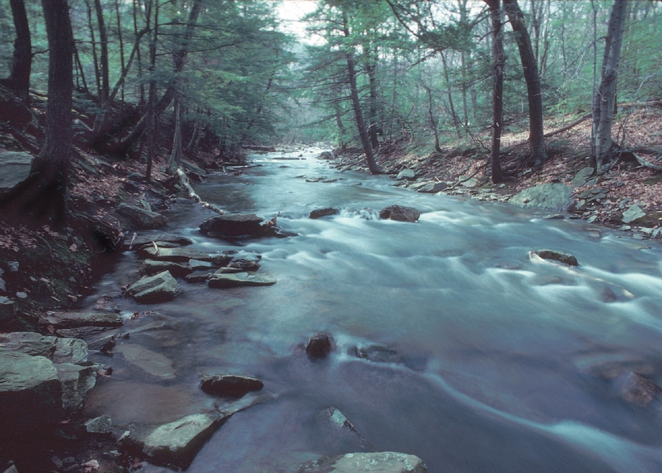 River flowing maryland