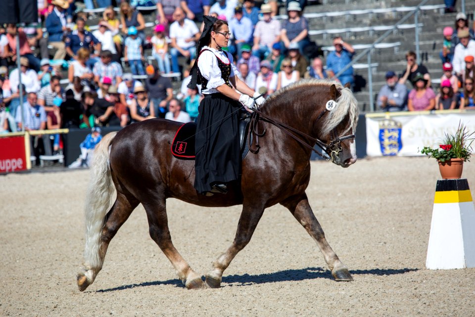 04Markstein Sabine20162300
