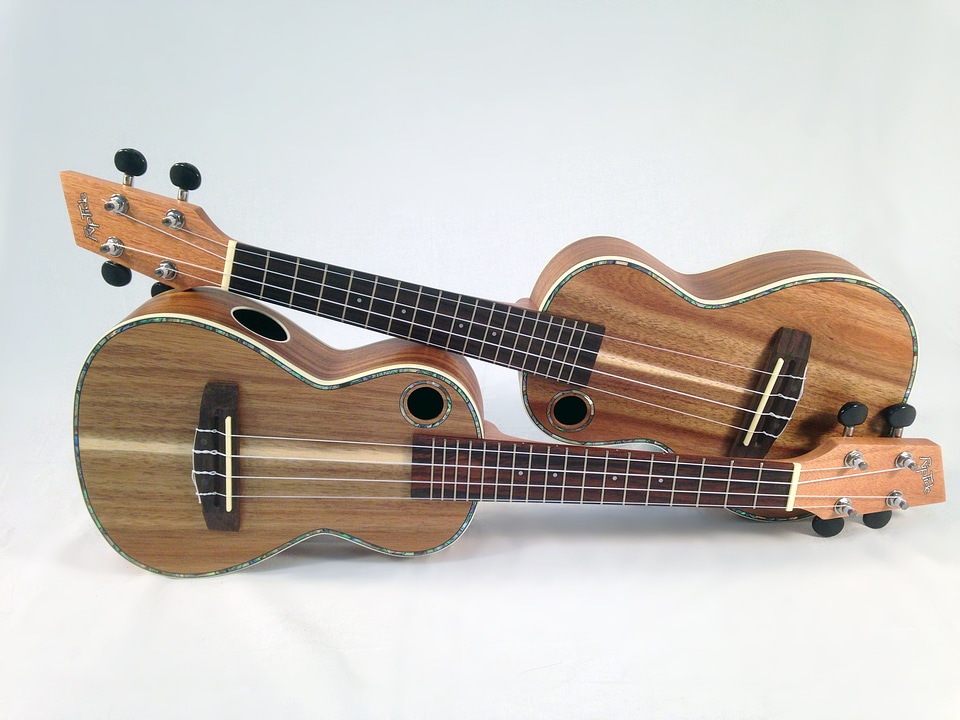 Music hawaii acoustic
