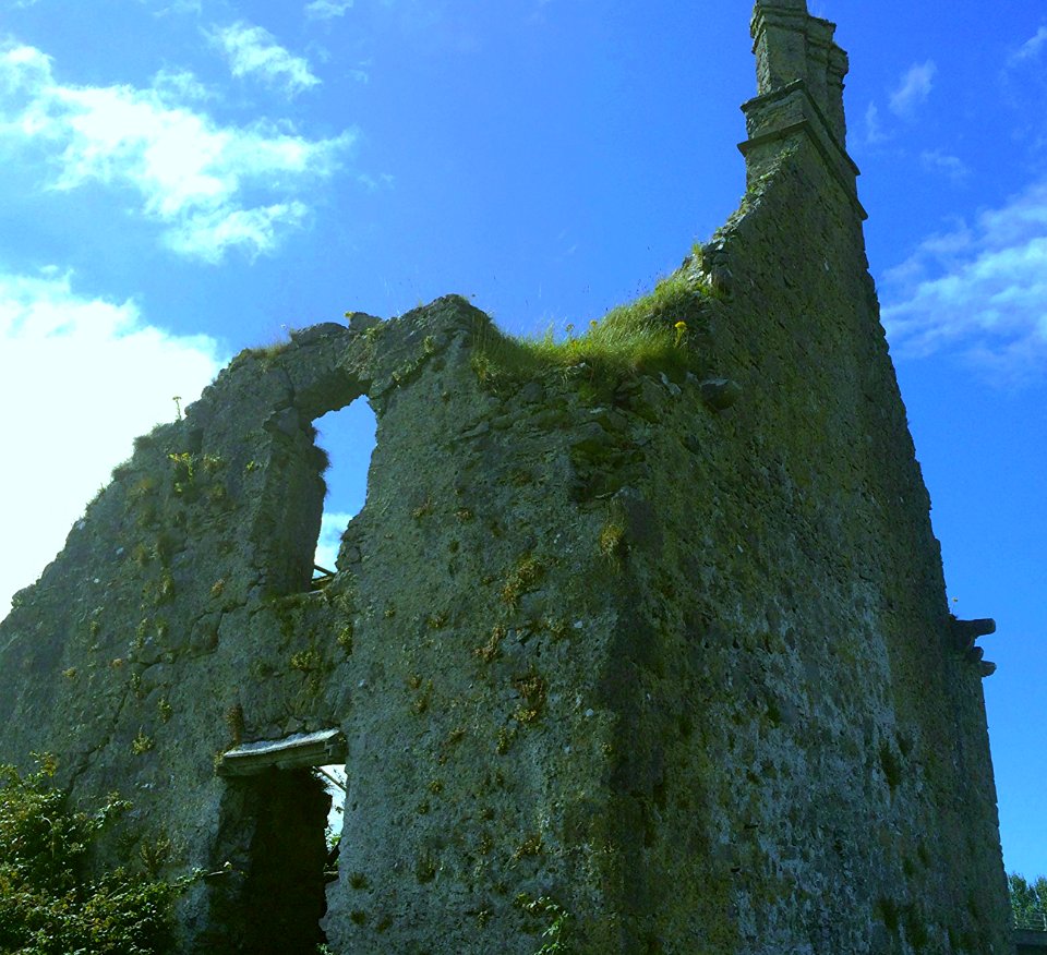 Terryland Castle