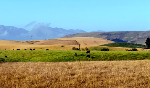 A rural setting. Fairlie. NZ photo