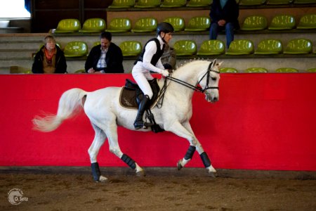 Diamant 150466