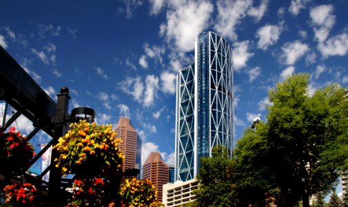 Bow Tower Calgary. photo