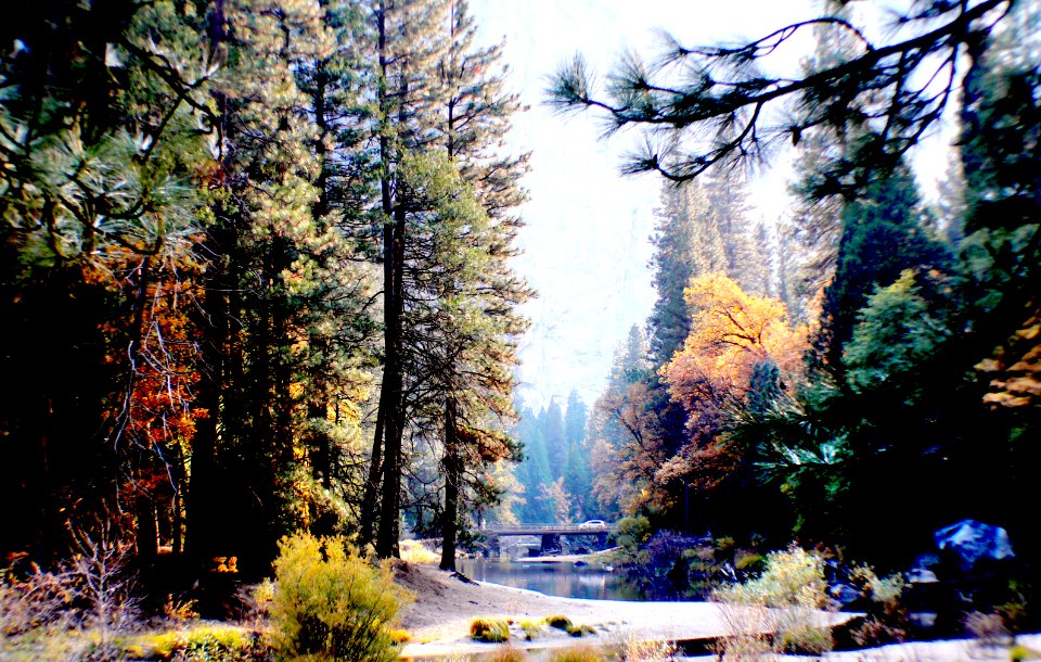 Yosemite National Park