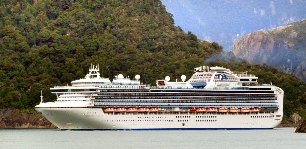 Diamond Princess. Milford Sound NZ photo