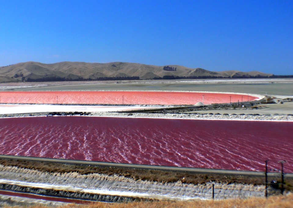Solar Salt Grassmere NZ